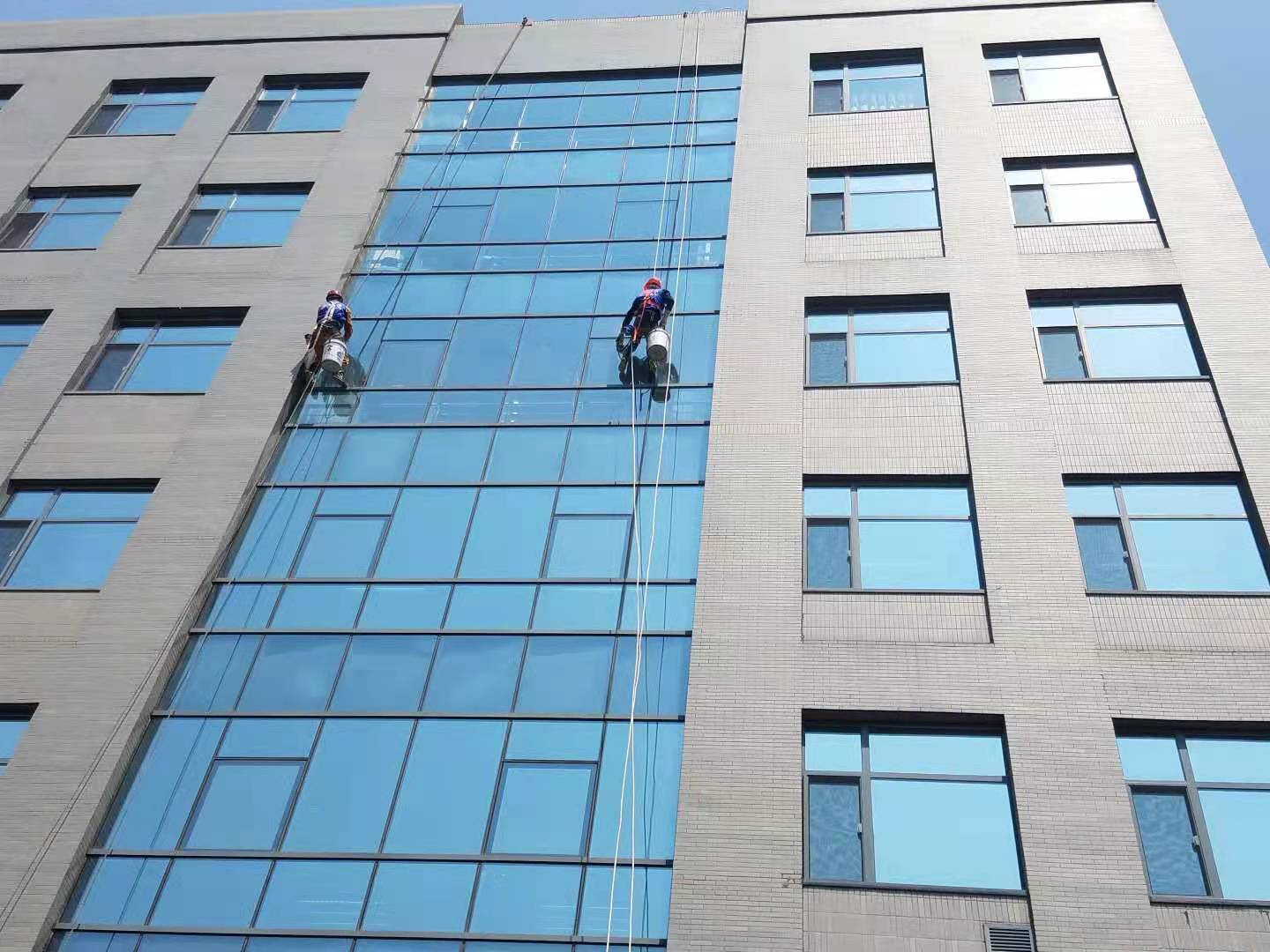 專(zhuān)業(yè)服務(wù)